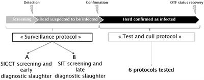 In silico Comparison of Test-and-Cull Protocols for Bovine Tuberculosis Control in France